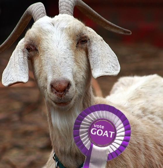 To Vote or Not to Vote GOAT