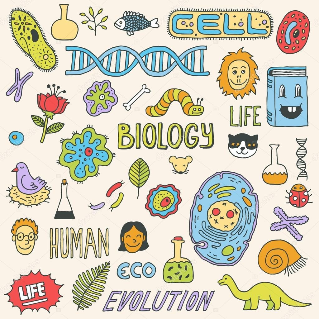 Behind A Year 12’s Impressive Performance In The Biology Olympiad