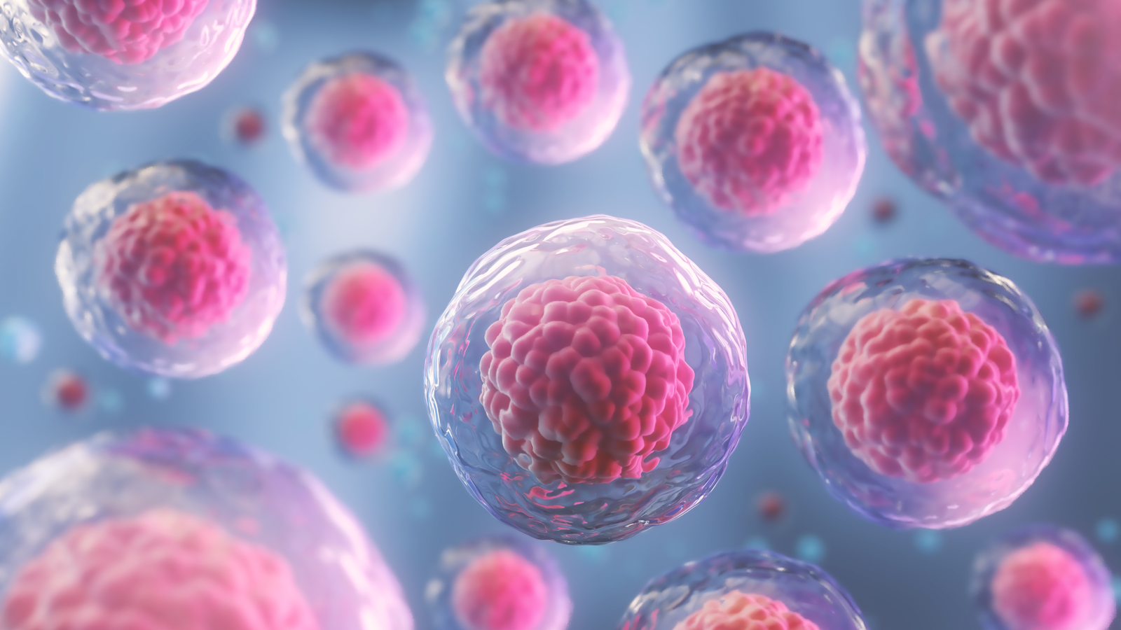 Stem Cells: A Breakthrough?